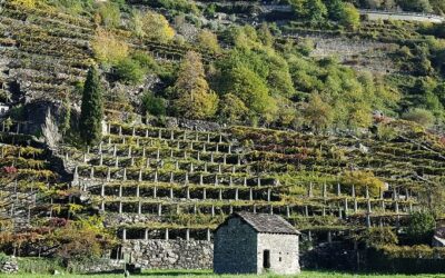 Donnas cosa vedere e cosa fare nel paese della viticoltura eroica